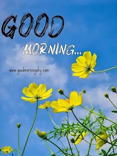 New%20Good%20Morning%20Images%20(1)