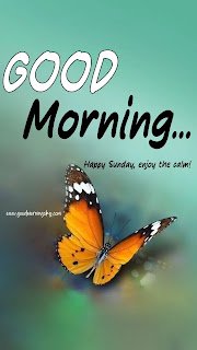 Good%20Morning%20Pictures%20Sunday%20(1)