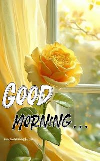 Yellow%20Flower%20Good%20Morning%20Images%20%20(1)