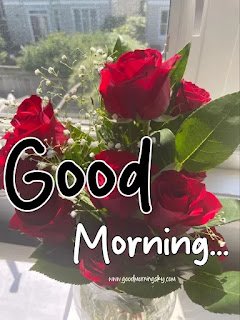 good%20morning%20red%20rose%20images%20(1)